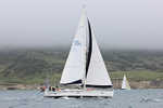 210703 LILY OF HAMBLE GBR1031 FAIRVIEW 1Y3A1173