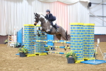 Class 21 - Nupafeed Supplements Senior Discovery/ 1m Open - First Round (1.00m) portfolio