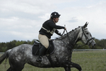 BVHT 140517  NXC -439