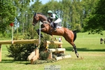 312-J'ADORE_SALSA-Michael_Owen-XC portfolio