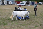 WJ6_6017
