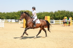SBM_000779