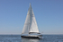 170526 SLOW GIN GBR2075L 1Y3A9547_Edit
