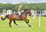 JAC_9529