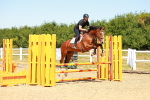 SBM_005935