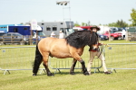 SBM_02477
