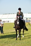 SBM_20131
