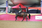 SBM_07637