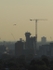 Crane and Bird, Paddington