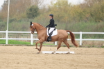 SBM_006772