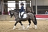 BPP_8203