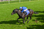 240824-Race 5-Elmonjed-1764