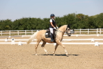 SBM_005039