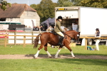 SBM_49965