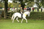 SBM_75346