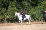 WJ6_8146