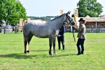 SBM_03331