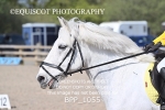 BPP_1055