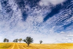 Harvest sky fireworks