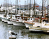 Graphic Boats