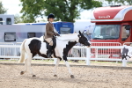 SBM_17261