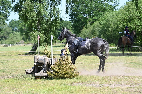 WJ7_3840
