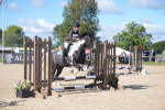 SBM_02421_J54 - Clear Round - 45cm