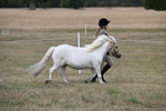 WJ6_6378