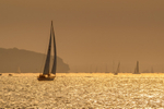 z3460 Round the Island Race toward Cowes