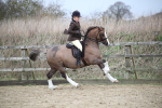 SBM_006097