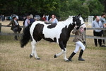 WJ6_8127