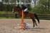BPP_3754