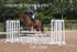 BPP_0568