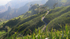 St Helena Island view