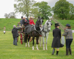 Attelage -1032