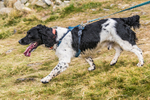 Lowther-461