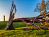 collapsted tree