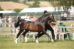 SBM_09074