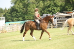 SBM_10229