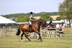 SBM_17714