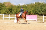 SBM_011831