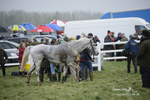 PtP 020122 244