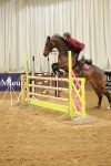 Class 5 - Senior Foxhunter - 1.20m portfolio