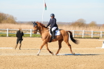 SBM_003486