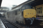 17th Dec 1983
