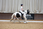 SBM_009294