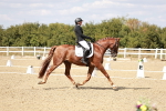 SBM_019277