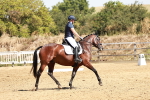 SBM_001555