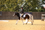 SBM_28169