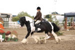 SBM_00286